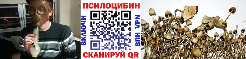 Купить где  Семёнов  Галлюциногенные грибы мицелий 